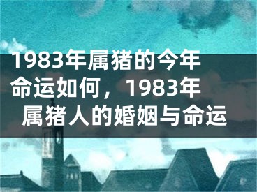 1983年属猪的今年命运如何，1983年属猪人的婚姻与命运