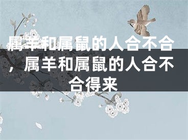 属羊和属鼠的人合不合，属羊和属鼠的人合不合得来