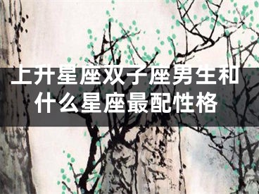 上升星座双子座男生和什么星座最配性格