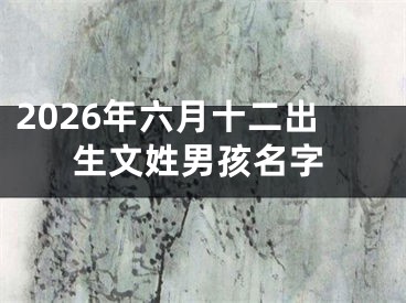 2026年六月十二出生文姓男孩名字