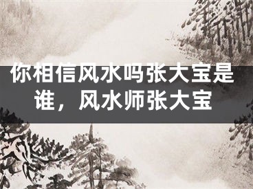 你相信风水吗张大宝是谁，风水师张大宝