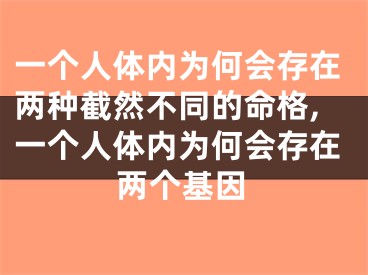 一个人体内为何会存在两种截然不同的命格,一个人体内为何会存在两个基因