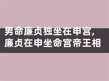 男命廉贞独坐在申宫,廉贞在申坐命宫帝王相