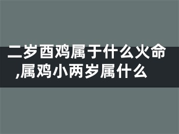 二岁酉鸡属于什么火命,属鸡小两岁属什么
