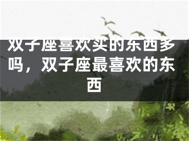 双子座喜欢买的东西多吗，双子座最喜欢的东西