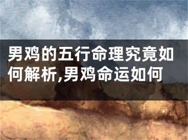 男鸡的五行命理究竟如何解析,男鸡命运如何