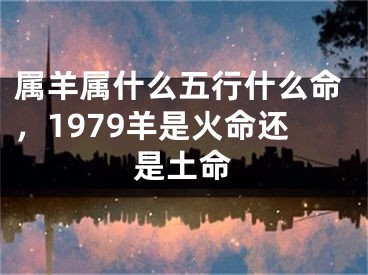 属羊属什么五行什么命，1979羊是火命还是土命