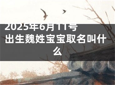 2025年6月11号出生魏姓宝宝取名叫什么