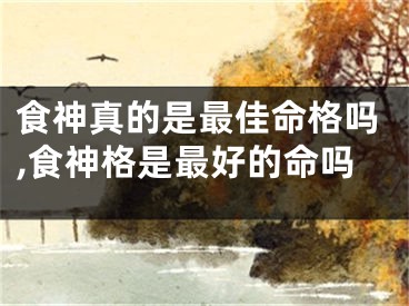 食神真的是最佳命格吗,食神格是最好的命吗