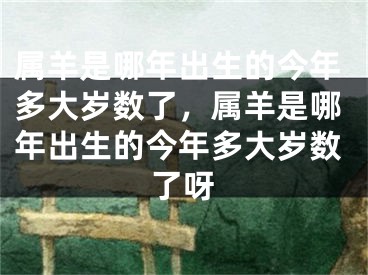 属羊是哪年出生的今年多大岁数了，属羊是哪年出生的今年多大岁数了呀