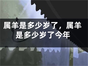 属羊是多少岁了，属羊是多少岁了今年