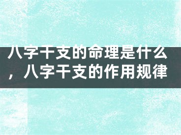 八字干支的命理是什么，八字干支的作用规律