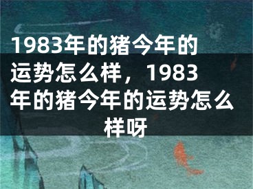 1983年的猪今年的运势怎么样，1983年的猪今年的运势怎么样呀