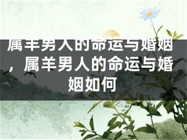 属羊男人的命运与婚姻，属羊男人的命运与婚姻如何