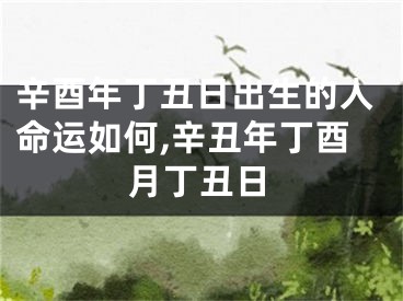 辛酉年丁丑日出生的人命运如何,辛丑年丁酉月丁丑日