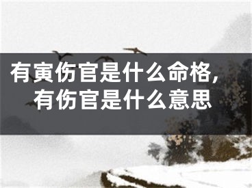有寅伤官是什么命格,有伤官是什么意思