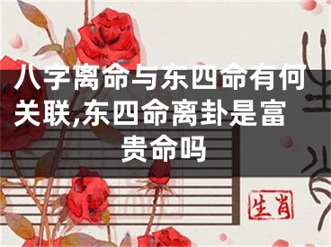 八字离命与东四命有何关联,东四命离卦是富贵命吗