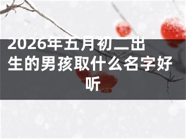 2026年五月初二出生的男孩取什么名字好听
