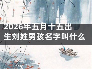 2026年五月十五出生刘姓男孩名字叫什么