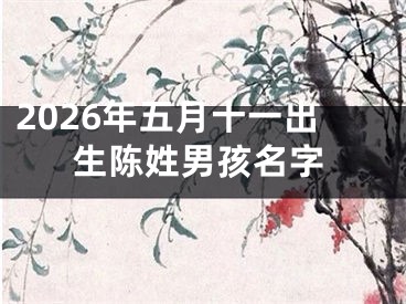 2026年五月十一出生陈姓男孩名字