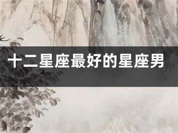 十二星座最好的星座男