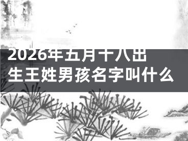 2026年五月十八出生王姓男孩名字叫什么