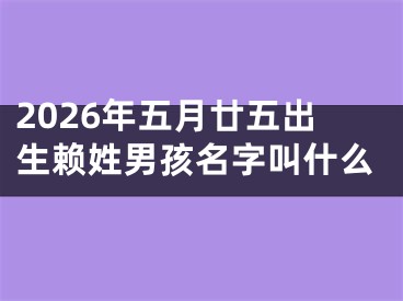 2026年五月廿五出生赖姓男孩名字叫什么