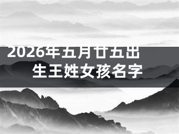 2026年五月廿五出生王姓女孩名字