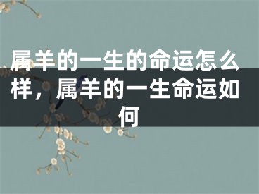 属羊的一生的命运怎么样,属羊的一生命运如何