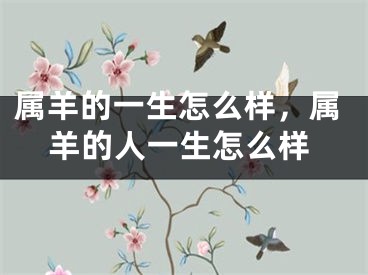 属羊的一生怎么样,属羊的人一生怎么样