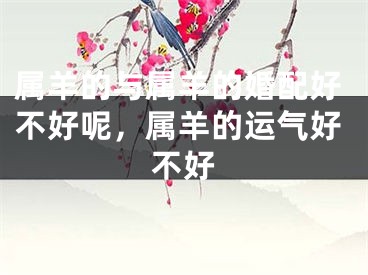 属羊的与属羊的婚配好不好呢，属羊的运气好不好