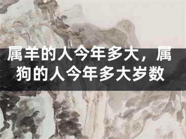 属羊的人今年多大，属狗的人今年多大岁数