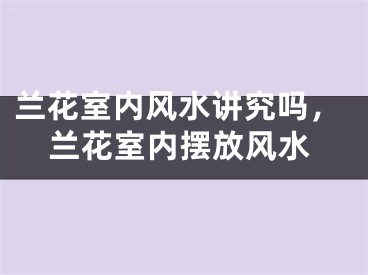 兰花室内风水讲究吗，兰花室内摆放风水