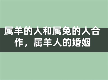 属羊的人和属兔的人合作，属羊人的婚姻