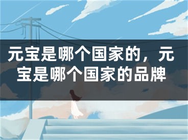 元宝是哪个国家的，元宝是哪个国家的品牌