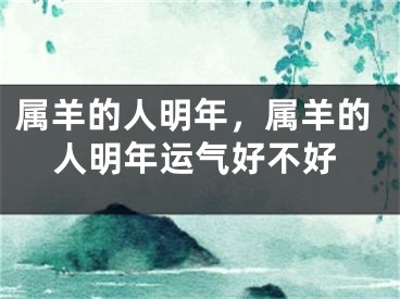 属羊的人明年，属羊的人明年运气好不好