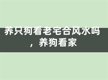 养只狗看老宅合风水吗，养狗看家