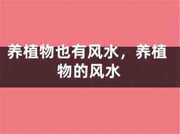 养植物也有风水，养植物的风水