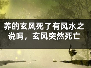 养的玄风死了有风水之说吗,玄风突然死亡