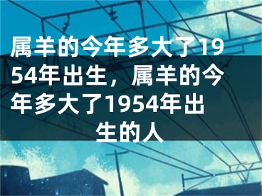 属羊的今年多大了1954年出生，属羊的今年多大了1954年出生的人