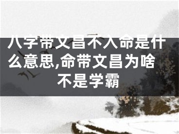 八字带文昌不入命是什么意思,命带文昌为啥不是学霸