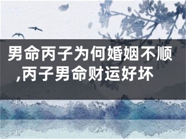 男命丙子为何婚姻不顺,丙子男命财运好坏