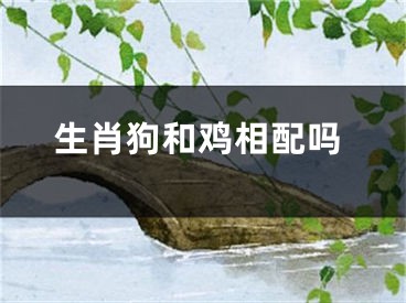 生肖狗和鸡相配吗