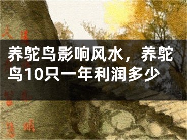 养鸵鸟影响风水,养鸵鸟10只一年利润多少