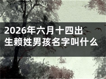 2026年六月十四出生赖姓男孩名字叫什么