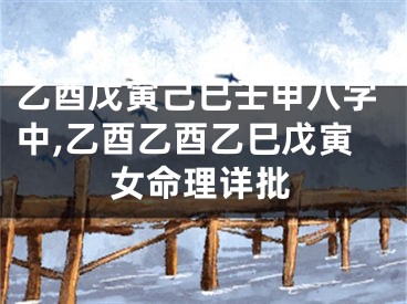 乙酉戊寅己巳壬申八字中,乙酉乙酉乙巳戊寅女命理详批
