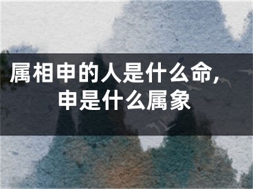 属相申的人是什么命,申是什么属象