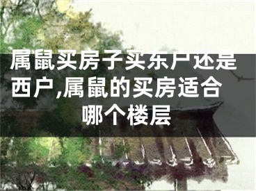 属鼠买房子买东户还是西户,属鼠的买房适合哪个楼层