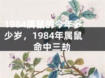 1984属鼠的今年多少岁，1984年属鼠命中三劫