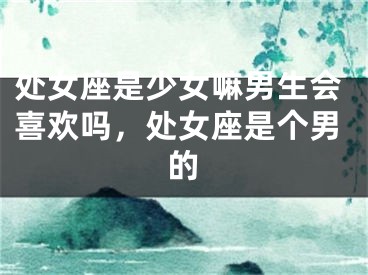 处女座是少女嘛男生会喜欢吗，处女座是个男的